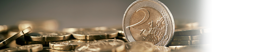 Euro Münzen Ratgeber